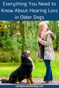 Everything you need to know about hearing loss in older dogs