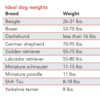 weight limit for carry on dogs