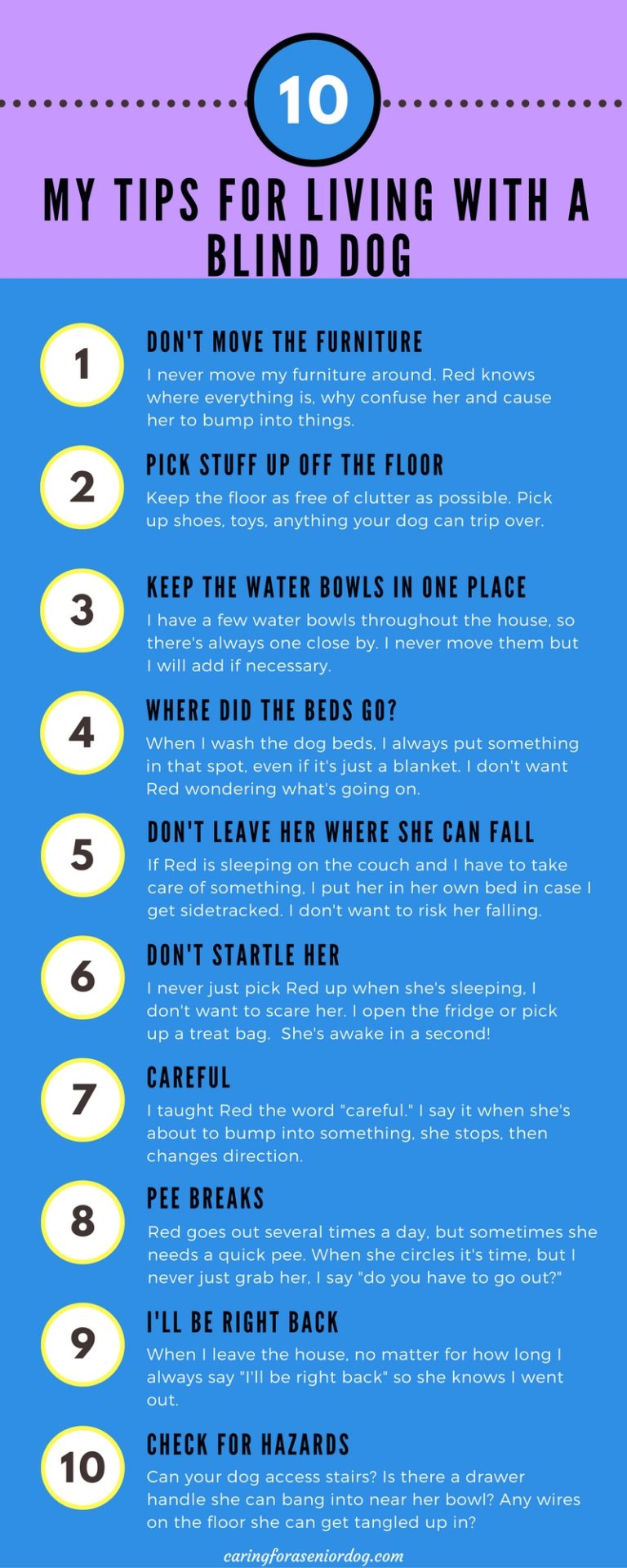 infographic-tips-for-living-with-a-blind-dog-caring-for-a-senior-dog