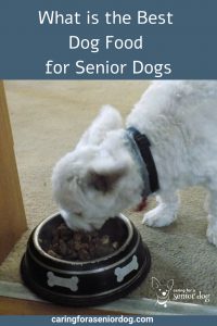 What is the Best Dog Food for Senior Dogs