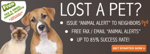 Lost My Doggie Pet Recovery System