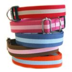 Harry Barker Eco Friendly Eton Collar 