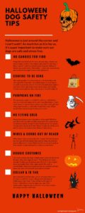 Halloween dog safety tips