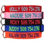 Custom Embroidered Dog Collars