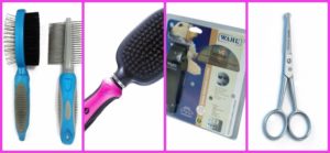 tools for grooming dogs at home