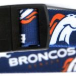 licensed NFL dog collar