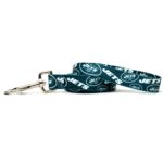 licensed NFL dog leash