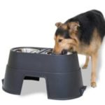 Eco-friendly Healthy Pet Diner Feeders