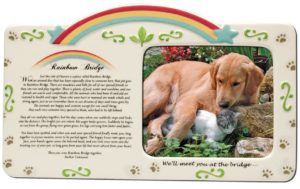 pet bereavement frame