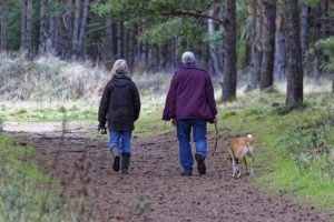 Walking the Dog