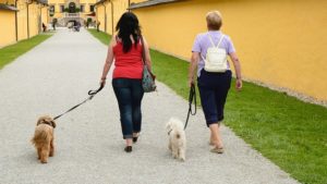 Women Walking Their Dogs