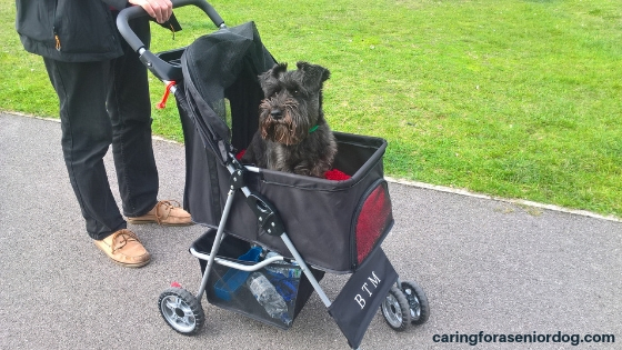 second hand dog pushchairs