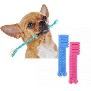 toothbrushes for small dogs