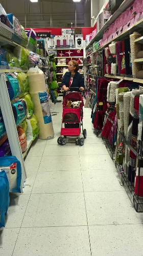 shopping with the dogs in their pet stroller