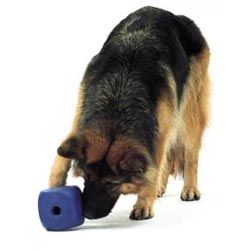 Buster Food Cube toy for blind dogs