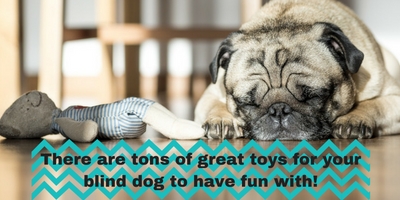 toys for blind dogs