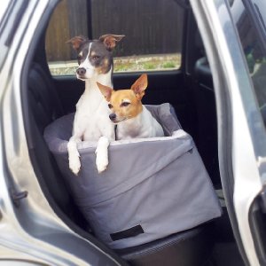 K&H Manufacturing Booster Bucket Seat with two dogs