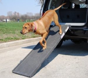 Petstep PetSTEP Folding Pet Ramp