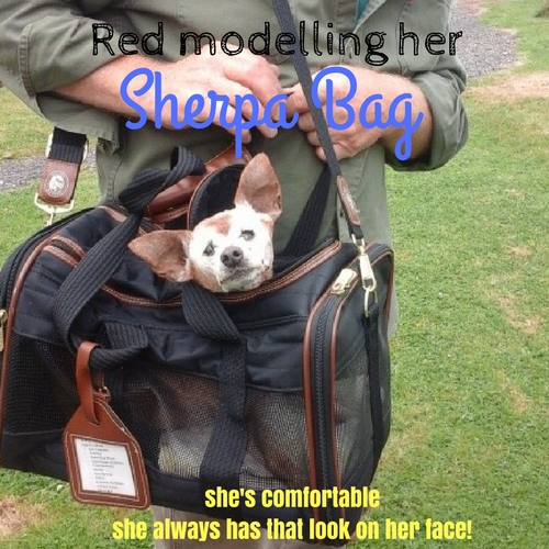 Sherpa original deluxe pet carrier