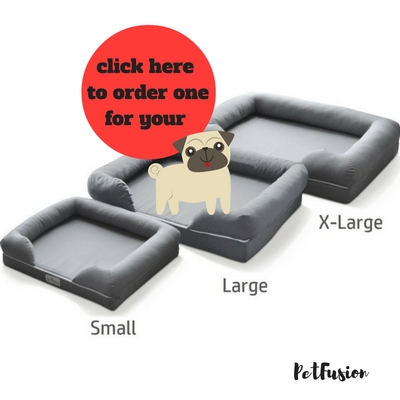 click here to order PetFusion bed and lounge for your dog