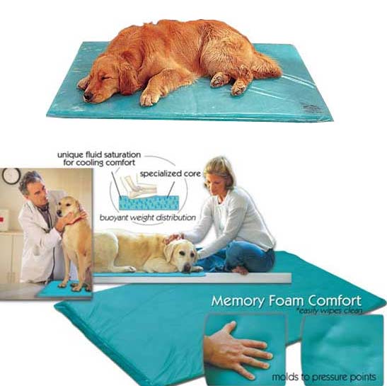 canine cooler dog bed