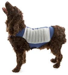 cooling dog jacket