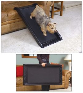 Smart Ramp Jr dog ramp