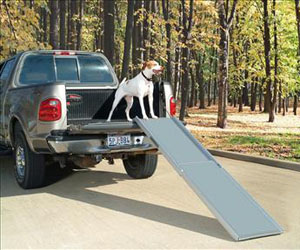 CJ deluxe xl telescoping pet ramp