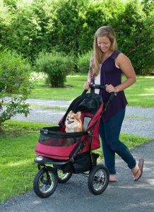 pet gear no zip jogger pet stroller