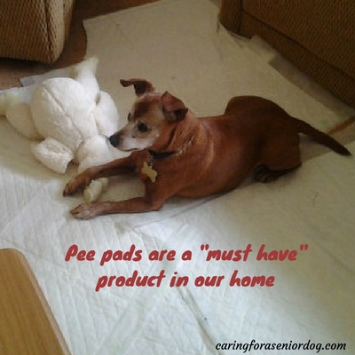 pee pee pads for older dogs