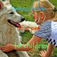 explaining the loss of a pet to children