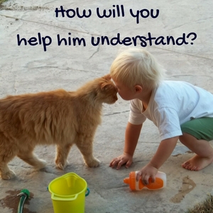 how to explain the loss of a pet to children