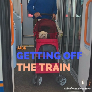 Jack getting off the train in a pet stroller