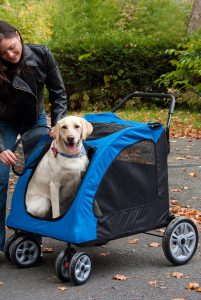 senior dog stroller