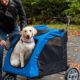 tips for buying the best pet stroller for a big dog