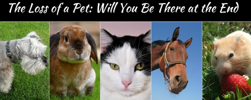 the loss of a pet will you be there at the end