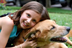 explaining pet loss to children