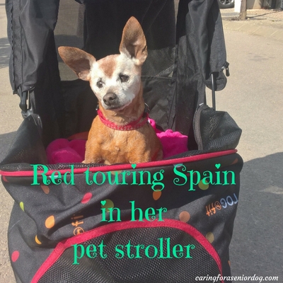 HautePinkPretty - Why we Use a Dog Stroller