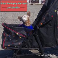 6 tips to help you choose the perfect pet stroller