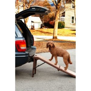 dog ramps