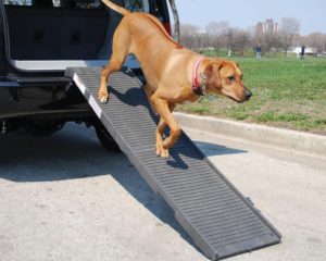 petstep folding dog ramps