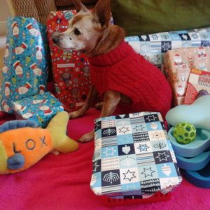 Reds list of the best holiday gifts for dogs