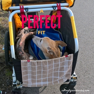 tips for picking the perfect pet stroller