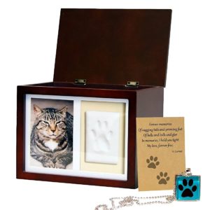 pet memorial box urn