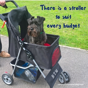 tips for finding the right pet stroller