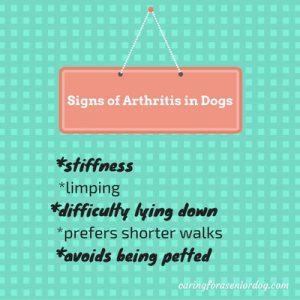 signs of arthritis in dogs