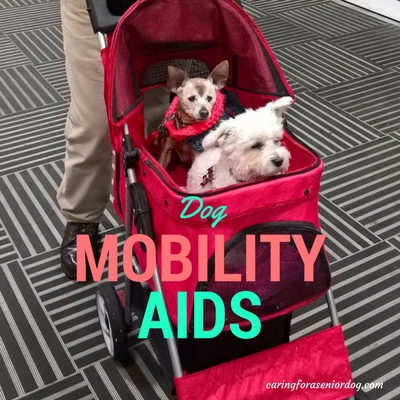dog mobility aids
