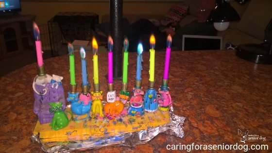 candles in my beautiful Hanukkah menorah