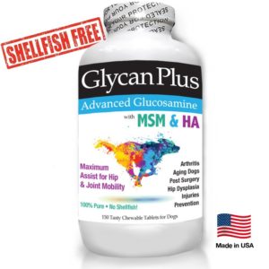 best vets brand glycan plus glucosamine