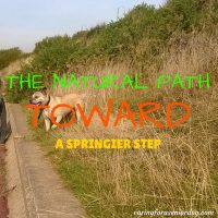 the natural path toward a springier step
